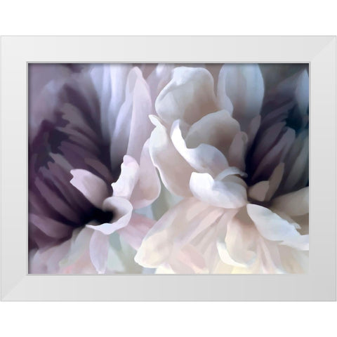 Chrysanthemum X White Modern Wood Framed Art Print by Pollard, David