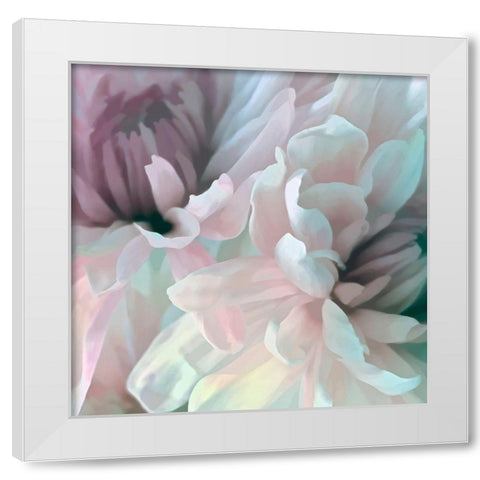 Chrysanthemum XI White Modern Wood Framed Art Print by Pollard, David