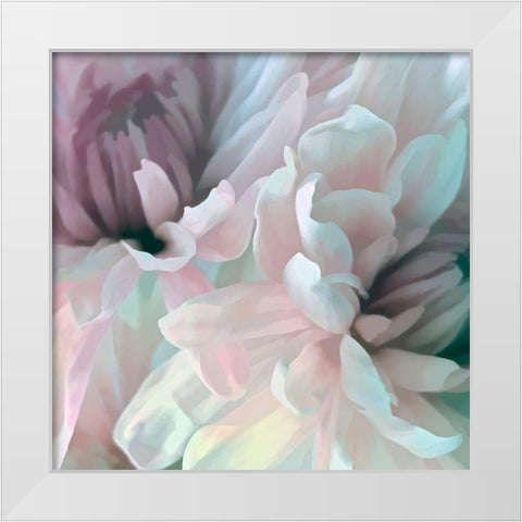 Chrysanthemum XI White Modern Wood Framed Art Print by Pollard, David