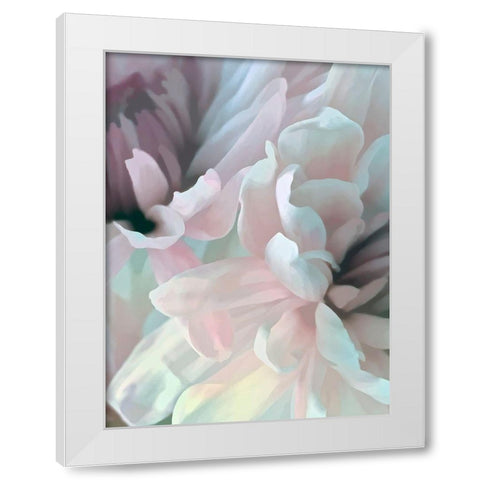 Chrysanthemum XII White Modern Wood Framed Art Print by Pollard, David