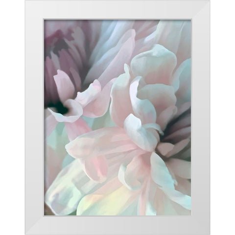 Chrysanthemum XII White Modern Wood Framed Art Print by Pollard, David