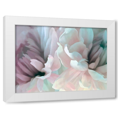 Chrysanthemum XIII White Modern Wood Framed Art Print by Pollard, David