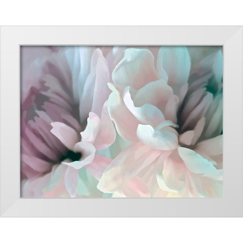 Chrysanthemum XIII White Modern Wood Framed Art Print by Pollard, David