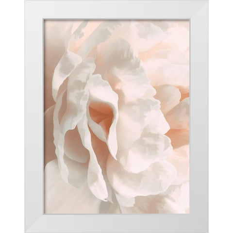 Peony Pale Sepia II White Modern Wood Framed Art Print by Pollard, David