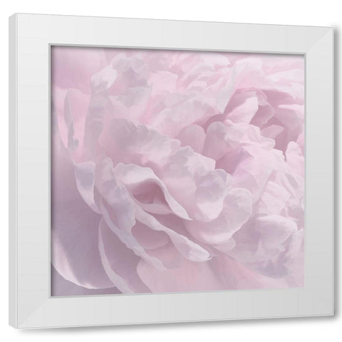 Peony Pink I White Modern Wood Framed Art Print by Pollard, David