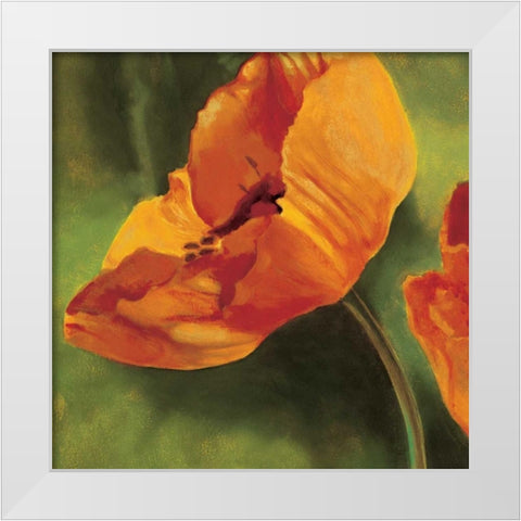 Coquelicots dans le soleil I White Modern Wood Framed Art Print by Viollet, Pierre