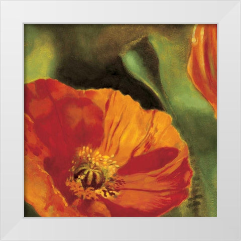 Coquelicots dans le soleil 2 White Modern Wood Framed Art Print by Viollet, Pierre