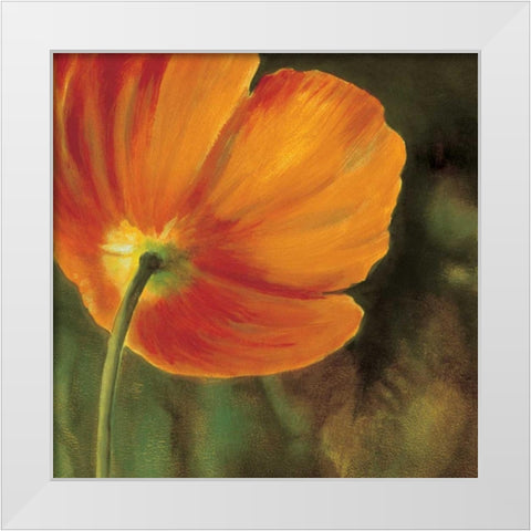 Coquelicots dans le soleil 3 White Modern Wood Framed Art Print by Viollet, Pierre