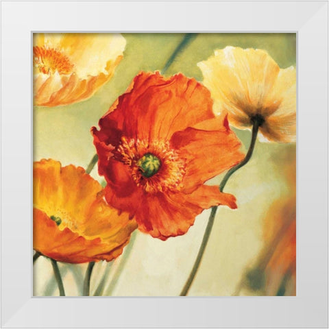 Champs de coquelicots II White Modern Wood Framed Art Print by Viollet, Pierre