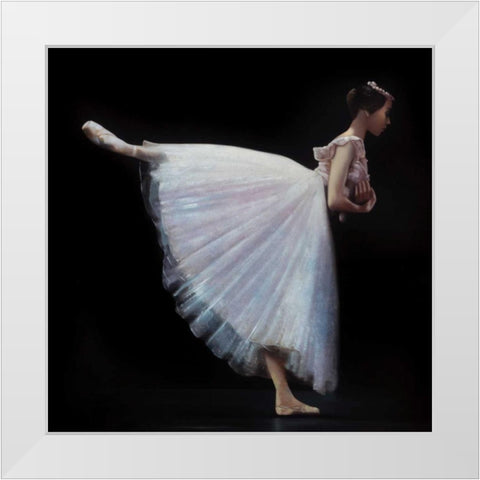 Still White Modern Wood Framed Art Print by Di Scenza, Ron