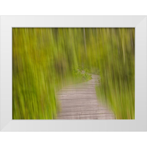 North America, Canada, Queen C White Modern Wood Framed Art Print by Plank, Savanah