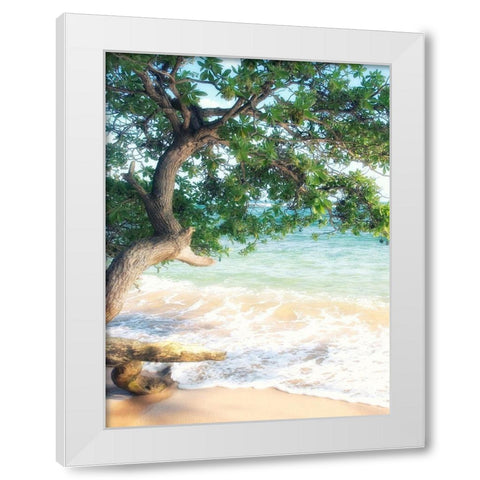 USA, Hawaii, Kauai White Modern Wood Framed Art Print by Plank, Savanah