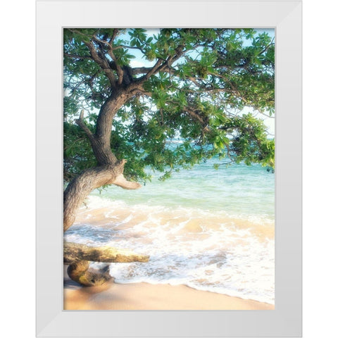 USA, Hawaii, Kauai White Modern Wood Framed Art Print by Plank, Savanah