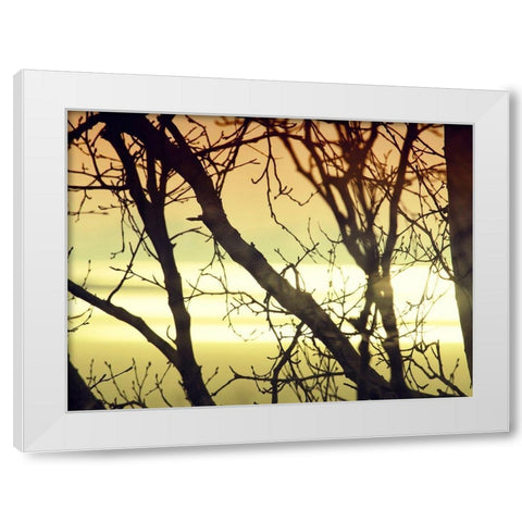 Aspen Sunset White Modern Wood Framed Art Print by Plank, Savanah