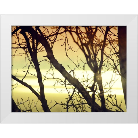 Aspen Sunset White Modern Wood Framed Art Print by Plank, Savanah