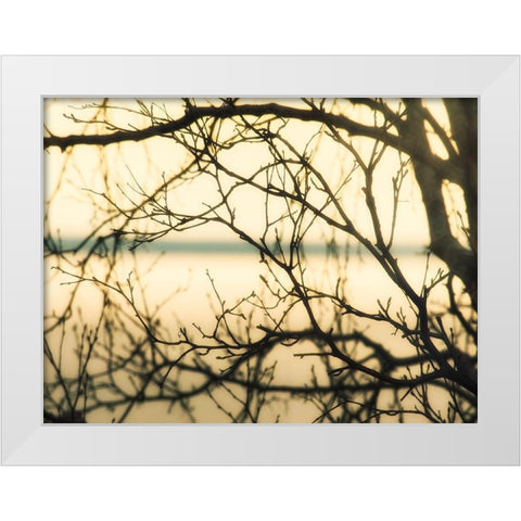 Aspen Sunset White Modern Wood Framed Art Print by Plank, Savanah