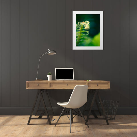 Garden Fern White Modern Wood Framed Art Print by Plank, Savanah