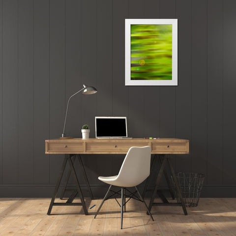 Abstract green flora White Modern Wood Framed Art Print by Plank, Savanah
