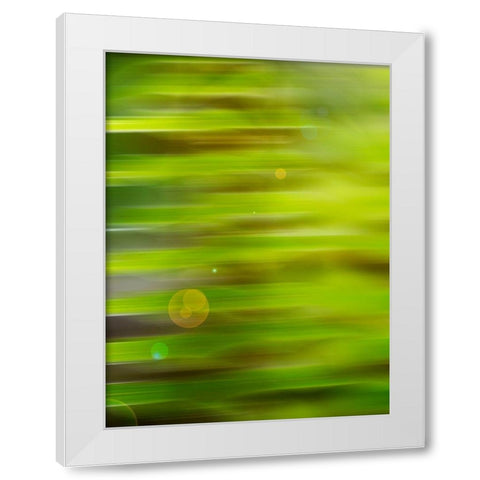 Abstract green flora White Modern Wood Framed Art Print by Plank, Savanah