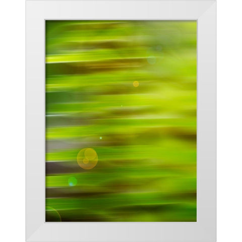 Abstract green flora White Modern Wood Framed Art Print by Plank, Savanah
