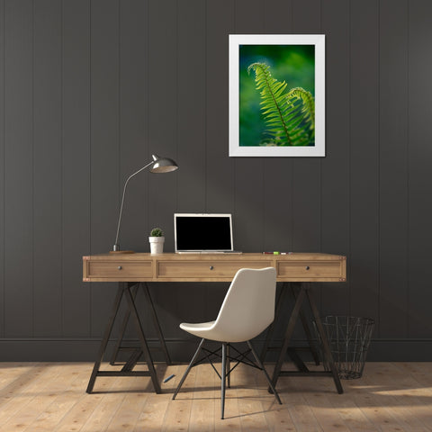Garden Fern White Modern Wood Framed Art Print by Plank, Savanah