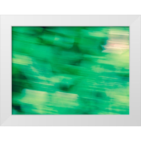 Flora Motion White Modern Wood Framed Art Print by Plank, Savanah