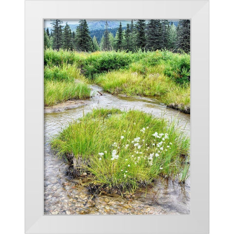 Alaska marshland White Modern Wood Framed Art Print by Plank, Savanah