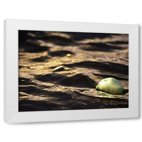 USA, Southeast Alaska, Ketchik White Modern Wood Framed Art Print by Plank, Savanah