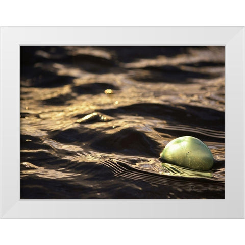 USA, Southeast Alaska, Ketchik White Modern Wood Framed Art Print by Plank, Savanah