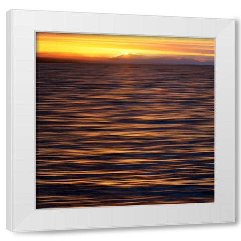 USA, Southeast Alaska, Ketchik White Modern Wood Framed Art Print by Plank, Savanah