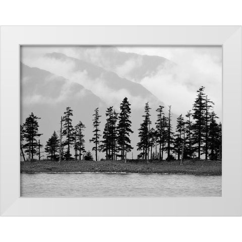 Pines White Modern Wood Framed Art Print by Plank, Savanah