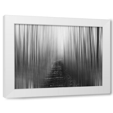 Path White Modern Wood Framed Art Print by Plank, Savanah