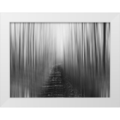 Path White Modern Wood Framed Art Print by Plank, Savanah