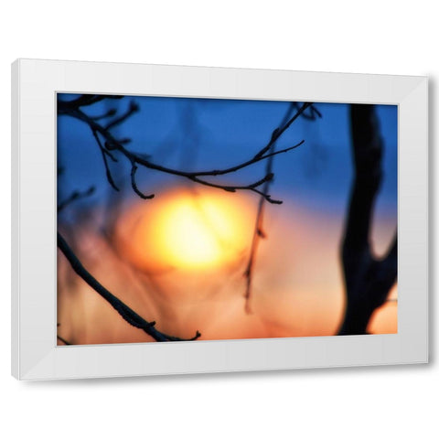 Abstract Sunset White Modern Wood Framed Art Print by Plank, Savanah