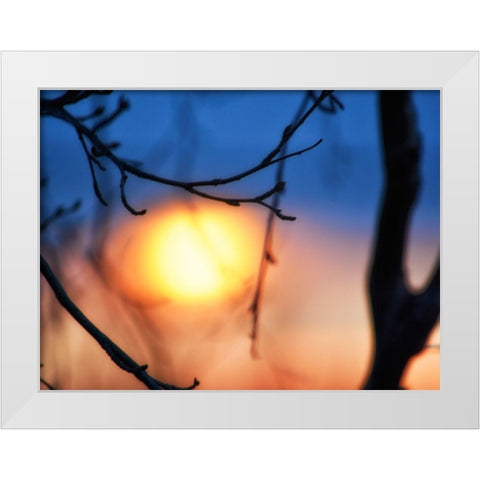 Abstract Sunset White Modern Wood Framed Art Print by Plank, Savanah