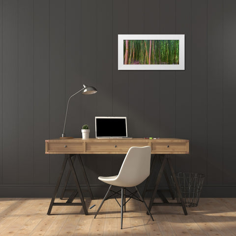 Bamboo White Modern Wood Framed Art Print by Bennion, Scott