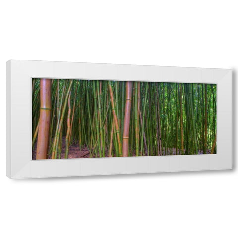 Bamboo White Modern Wood Framed Art Print by Bennion, Scott