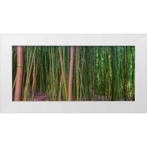 Bamboo White Modern Wood Framed Art Print by Bennion, Scott