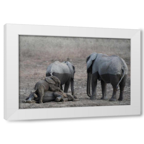 Brothers at Play White Modern Wood Framed Art Print by Bennion, Scott