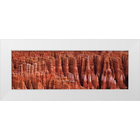 Bryce Canyon Utah White Modern Wood Framed Art Print by Bennion, Scott