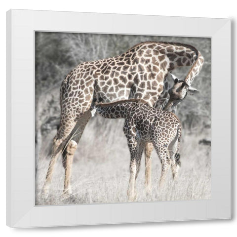 Mother and Daughter White Modern Wood Framed Art Print by Bennion, Scott