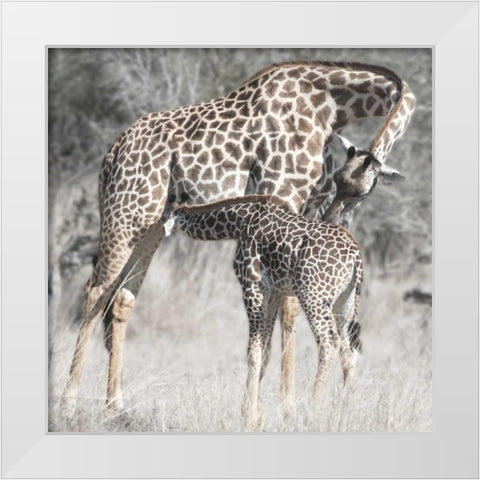 Mother and Daughter White Modern Wood Framed Art Print by Bennion, Scott