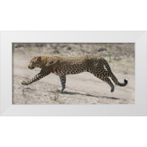 On The Run White Modern Wood Framed Art Print by Bennion, Scott