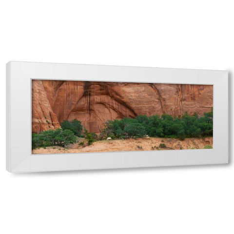 Wild Horses at Keet Seel White Modern Wood Framed Art Print by Bennion, Scott