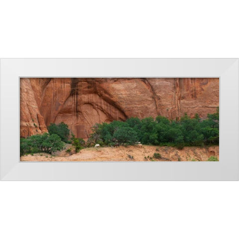 Wild Horses at Keet Seel White Modern Wood Framed Art Print by Bennion, Scott