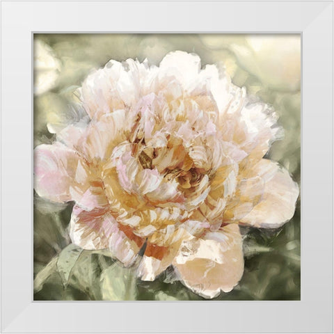 Solo I White Modern Wood Framed Art Print by Sullivan, Shawna