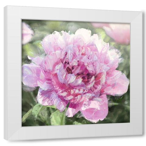 Solo Pink I White Modern Wood Framed Art Print by Sullivan, Shawna