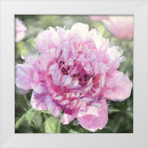 Solo Pink I White Modern Wood Framed Art Print by Sullivan, Shawna