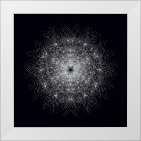 Dynamic III White Modern Wood Framed Art Print by Anderson, Tyler