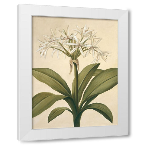 Lilies II White Modern Wood Framed Art Print by Huntington, Virginia